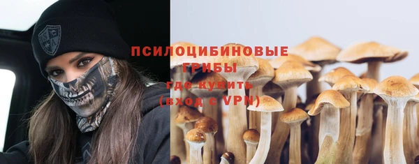 молекула духа Алексеевка