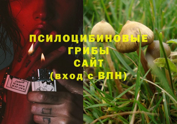 прущая мука Алзамай