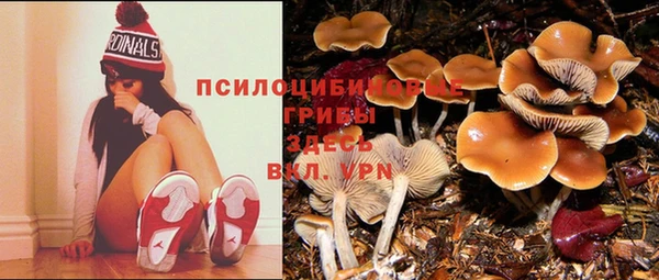 прущая мука Алзамай